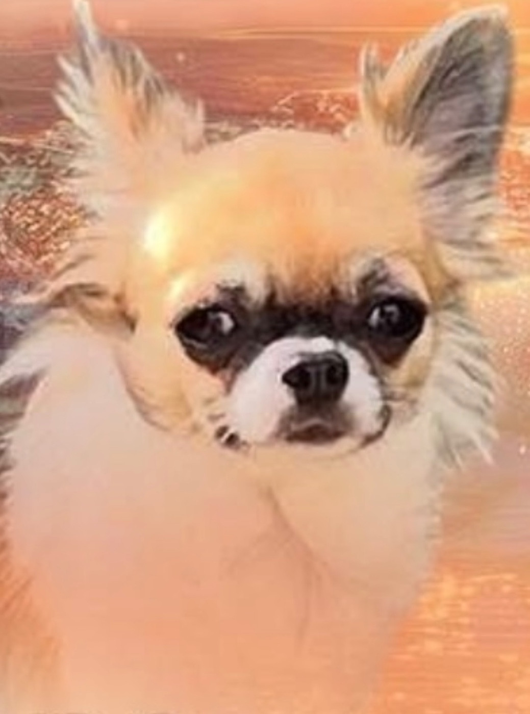 Vanille cara De La Grande Epopée