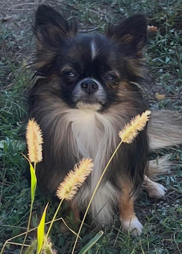 Udson river du Paradis Rétais